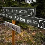 Authentic Norwegian * Skogbygda
