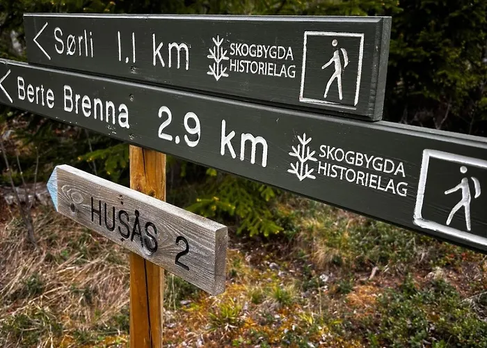 Authentic Norwegian * Skogbygda